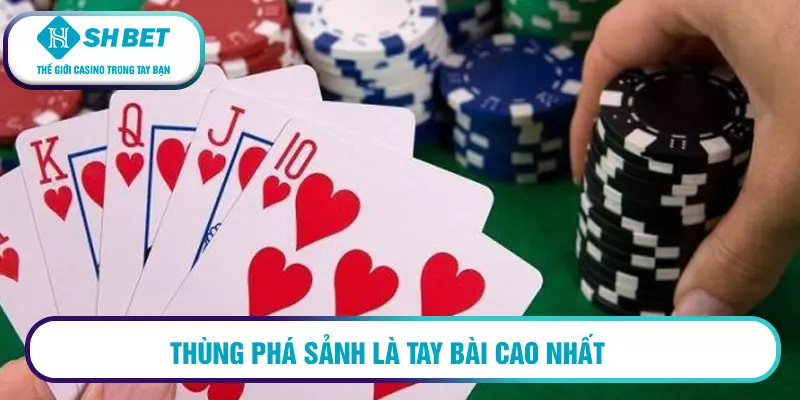 Thùng phá sảnh là tay bài cao nhất
