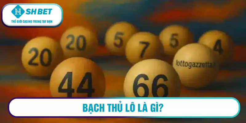 Bạch thủ lô là gì?