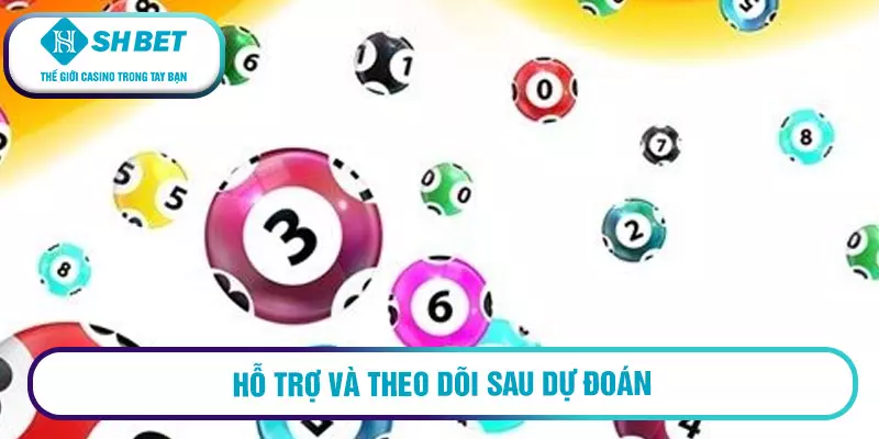 Hỗ trợ và theo dõi sau dự đoán