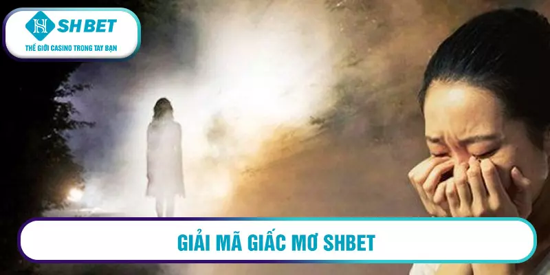 Giải mã giấc mơ cùng SHBET88 1 Giải mã giấc mơ SHBET